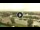 Webcam in Forte dei Marmi, 0.4 mi away