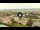 Webcam in Forte dei Marmi, 1.6 km