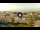 Webcam in Forte dei Marmi, 0.6 km