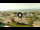 Webcam in Forte dei Marmi, 0.4 mi away