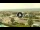 Webcam in Forte dei Marmi, 2.7 km entfernt