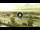 Webcam in Forte dei Marmi, 6.6 km