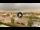 Webcam in Forte dei Marmi, 3.2 mi away