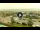 Webcam in Forte dei Marmi, 13 km