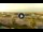Webcam in Forte dei Marmi, 5.3 km