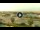 Webcam in Forte dei Marmi, 5.3 km