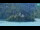 Webcam in Bled, 14.9 km entfernt