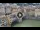 Webcam in Florence, 0.6 mi away