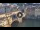 Webcam in Florence, 0.6 mi away