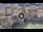 Webcam in Florence, 0.6 mi away