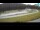 Webcam in Pokljuka, 4.3 mi away