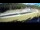 Webcam in Pokljuka, 2.1 mi away