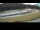 Webcam in Pokljuka, 7.5 km entfernt