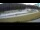 Webcam in Pokljuka, 12.4 km