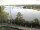 Webcam in Lauenburg / Elbe, 32.8 km