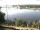 Webcam in Lauenburg/Elbe, 6.6 mi away