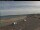 Webcam in Aberdeen, 18.8 mi away