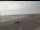 Webcam in Aberdeen, 47 km entfernt