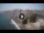 Webcam in El Medano (Tenerife), 0.2 mi away