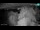 Webcam in Kamnica, 24.9 km entfernt