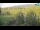 Webcam in Kamnica, 10.3 km