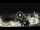 Webcam in Playa de las Americas (Tenerife), 1.1 mi away
