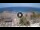 Webcam in Playa de las Americas (Teneriffa), 2.2 km entfernt