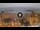 Webcam in Playa de las Americas (Tenerife), 0.3 km