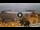 Webcam in Playa de las Americas (Tenerife), 0.9 mi away