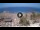 Webcam in Playa de las Américas (Tenerife), 0.7 km