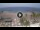 Webcam in Playa de las Américas (Tenerife), 17.7 km