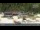 Webcam in Špindleruv Mlýn, 4.5 mi away