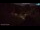 Webcam in Rudno, 15 km entfernt