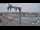 Webcam in Juelsminde, 59.2 km entfernt