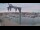 Webcam in Juelsminde, 24.9 mi away
