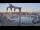 Webcam in Juelsminde, 29.6 mi away