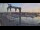 Webcam in Juelsminde, 29.6 km