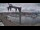 Webcam in Juelsminde, 37.5 mi away