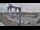 Webcam in Juelsminde, 29.5 km