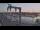 Webcam in Juelsminde, 39.9 km entfernt