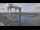 Webcam in Juelsminde, 118.2 km