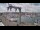 Webcam in Juelsminde, 66.3 km