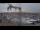 Webcam in Juelsminde, 34.2 mi away