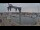 Webcam in Juelsminde, 18.1 mi away