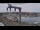 Webcam in Juelsminde, 55.4 km