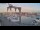 Webcam in Juelsminde, 31.1 km entfernt