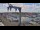 Webcam in Juelsminde, 128.8 km