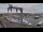 Webcam in Juelsminde, 23.4 mi away