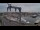 Webcam in Juelsminde, 25.5 mi away
