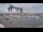 Webcam in Juelsminde, 27.8 km